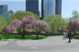 BatteryPark