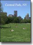 Sheep Meadow at Central park, postcard