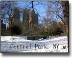 Winter season at Central Park, postcard