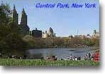 the lake, Central park