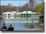 Central Park Postcard