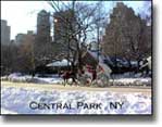 Winter at Central Park postcard