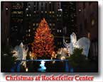 Christmas Tree at Rockefeller Center postcard